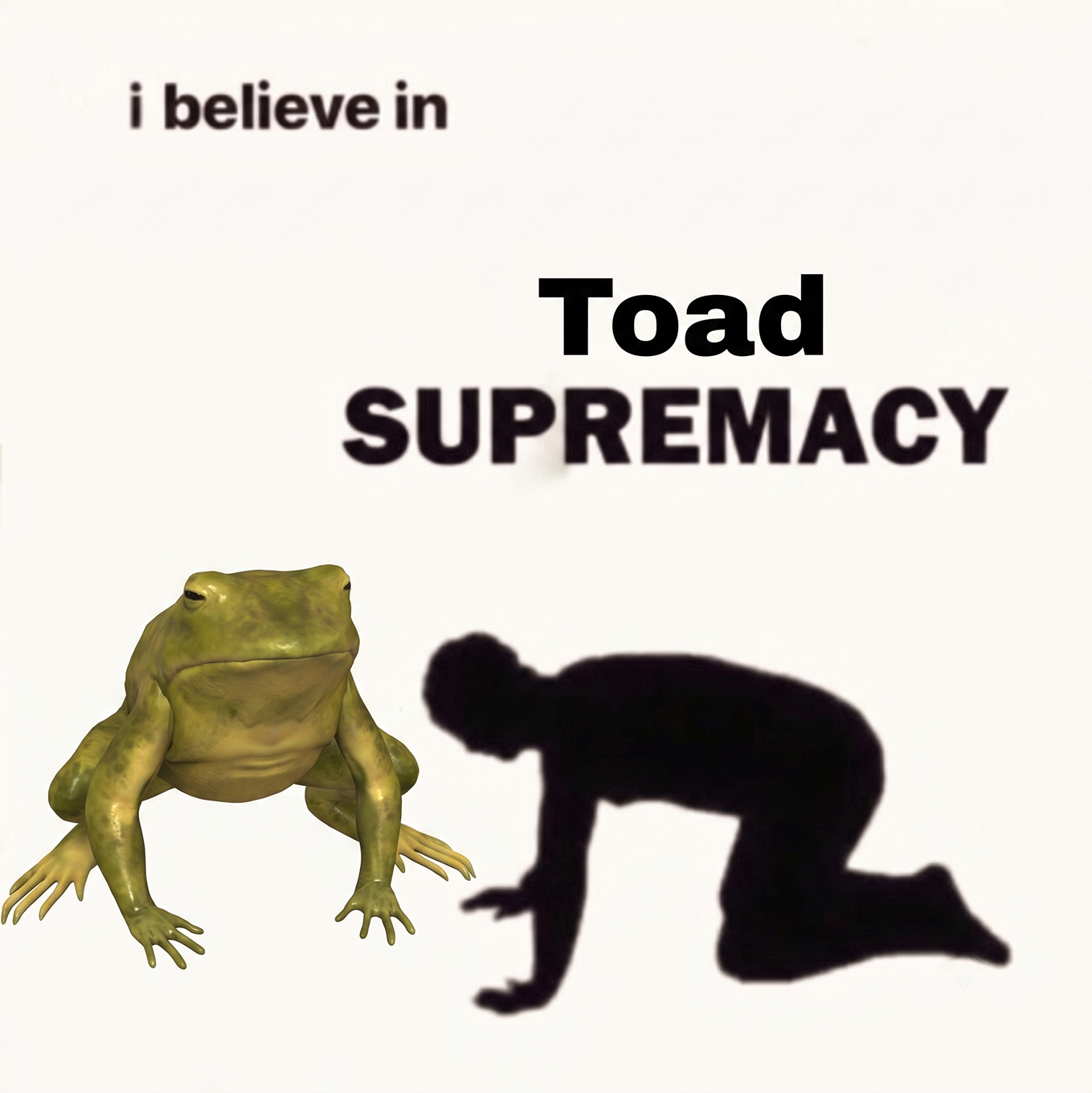 I believe in Toad Supremacy meme