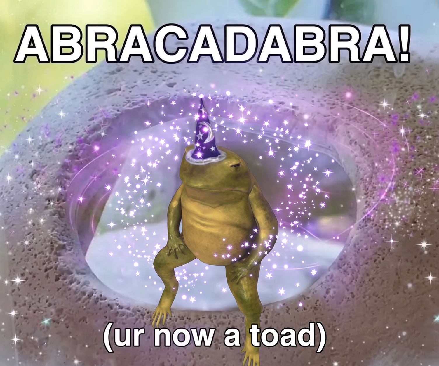 Wizard CHANTOAD in a portal, abracadabra